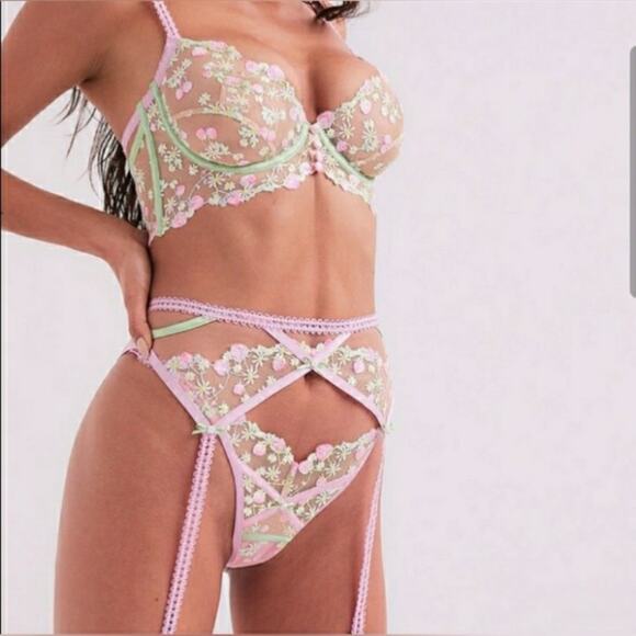 NWOT FOR LOVE & LEMONS TUTTI FRUITI SHIMMER STRAWBERRY MESH GARTER BELT IN PINK - Picture 1 of 6